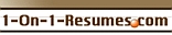 1-on-1-Resumes.com